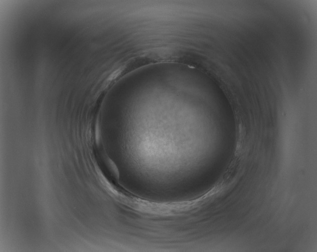 X0000053080048200507111256