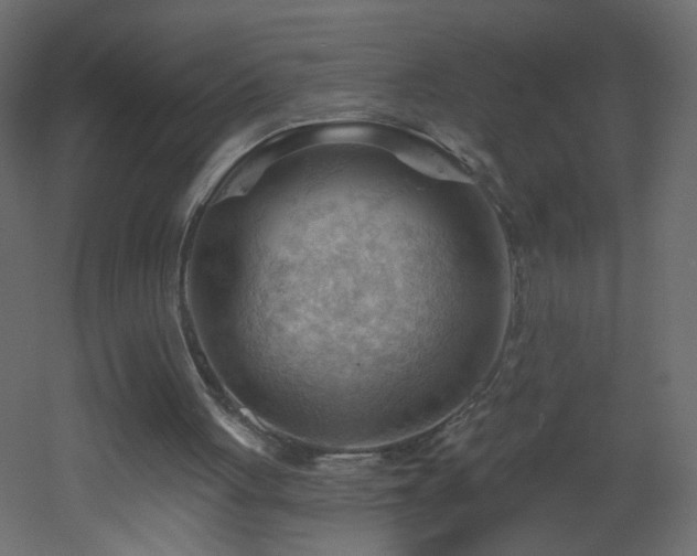 X0000053080051200507111255