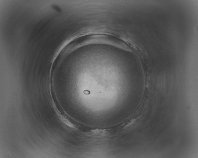 X0000053080052200507111255