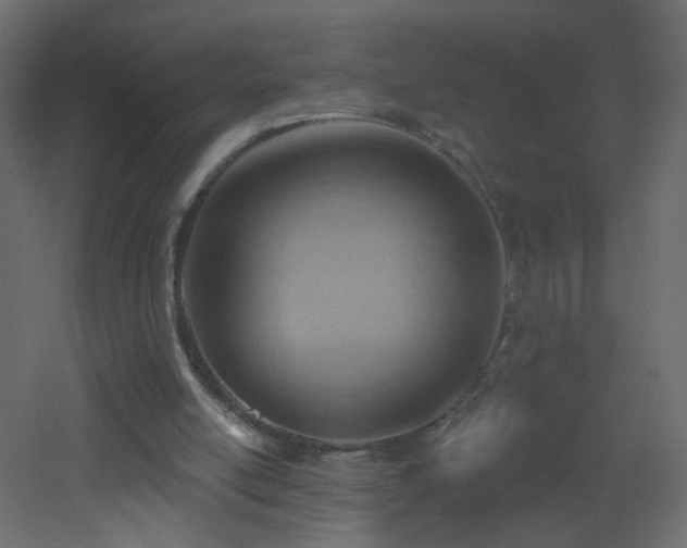 X0000053080054200507111255