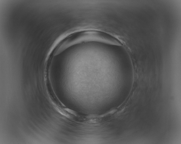 X0000053080056200507111255
