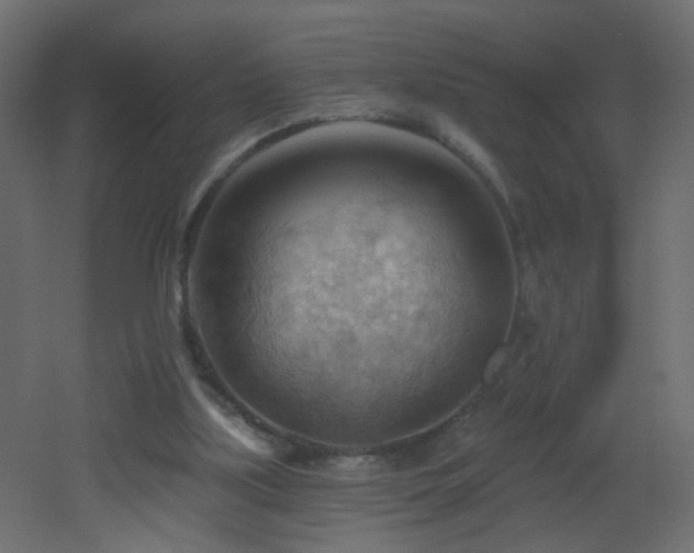 X0000053080059200507111255