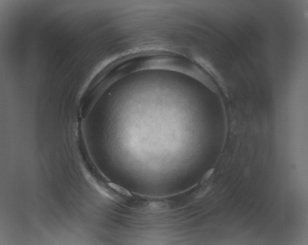X0000053080060200507111255
