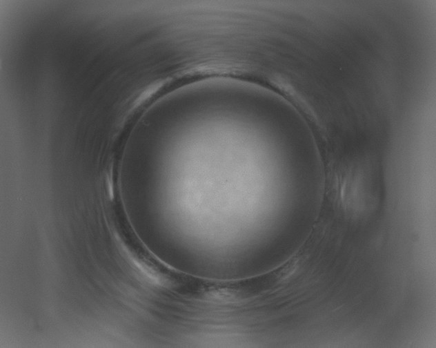 X0000053080062200507111255