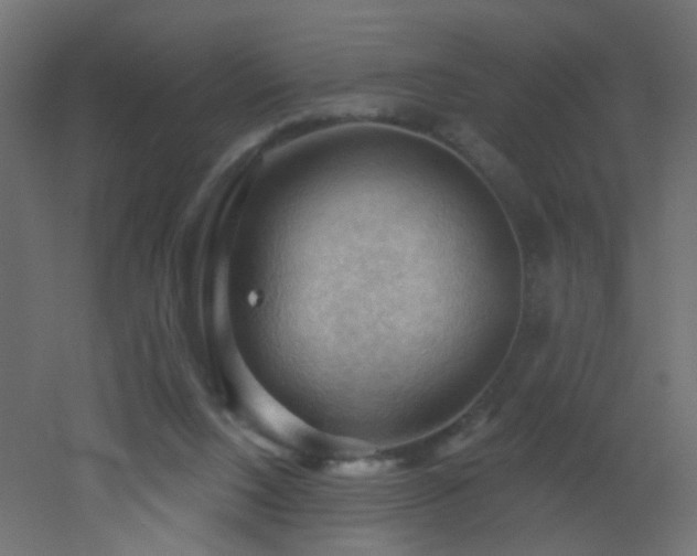 X0000053080064200507111255