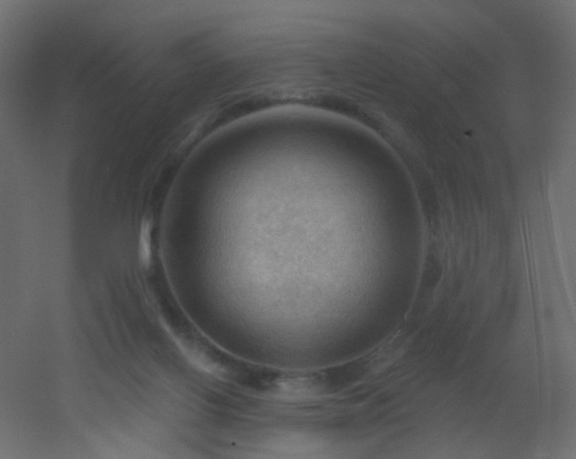 X0000053080070200507111255