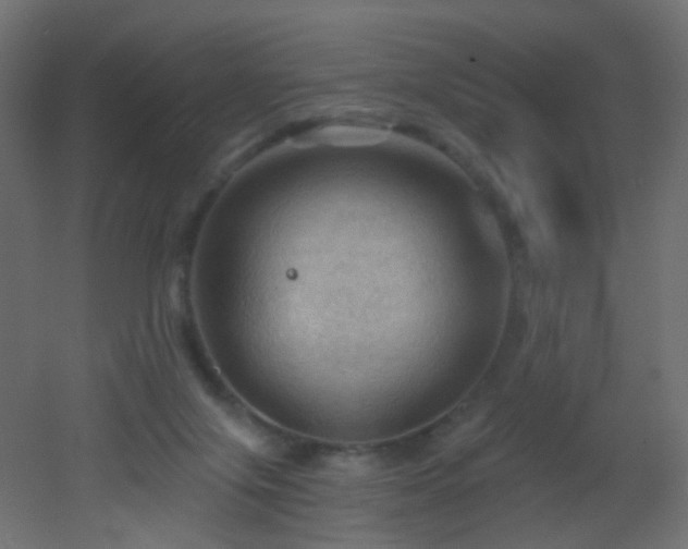 X0000053080071200507111255