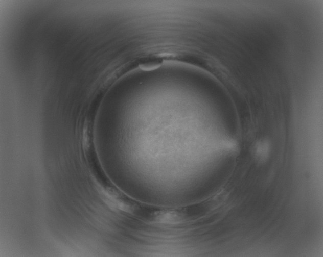X0000053080074200507111255