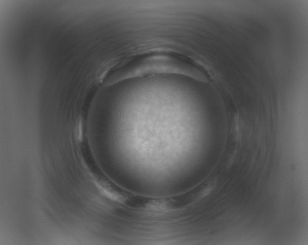 X0000053080076200507111255