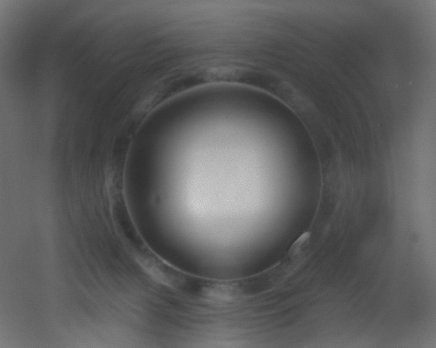 X0000053080079200507111255