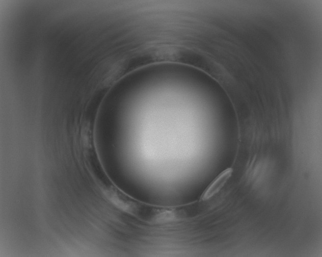 X0000053080083200507111255