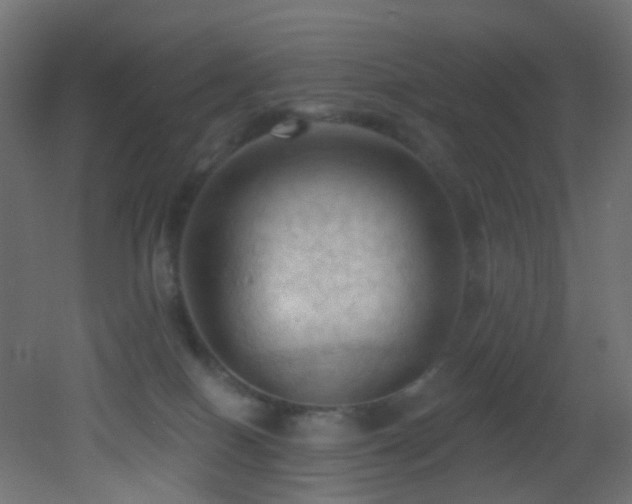 X0000053080086200507111255