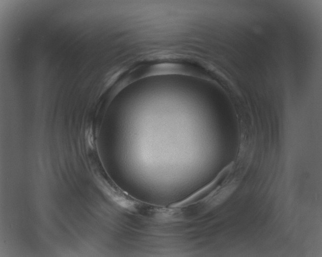 X0000053080096200507111256