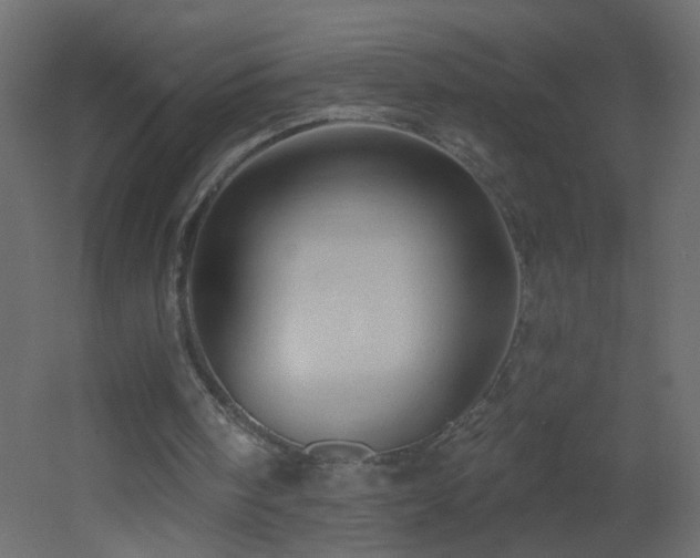 X0000053080098200507111255
