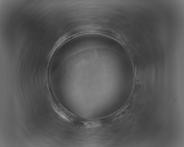 X0000053080099200507111255