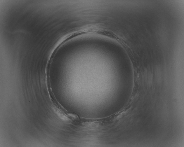 X0000053080100200507111255