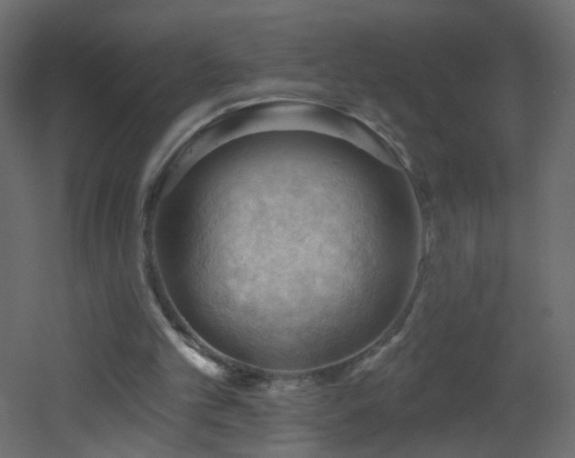 X0000053080101200507111255
