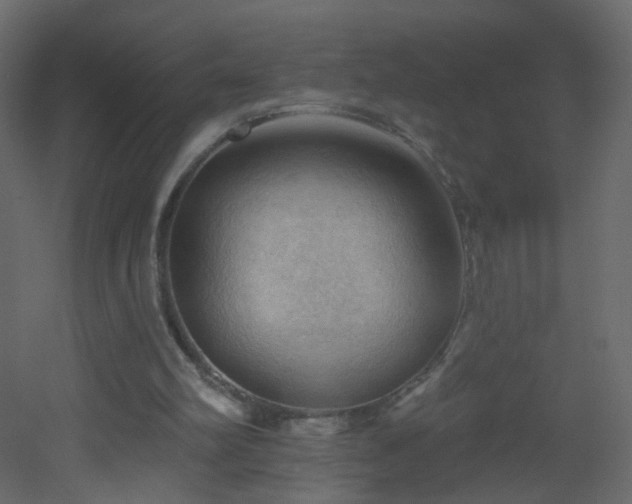 X0000053080102200507111255