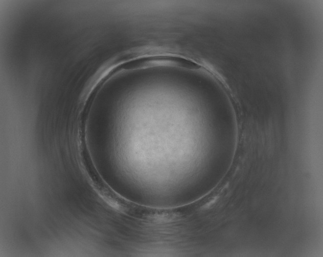 X0000053080103200507111255