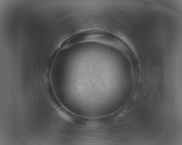 X0000053080105200507111255