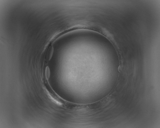 X0000053080106200507111255