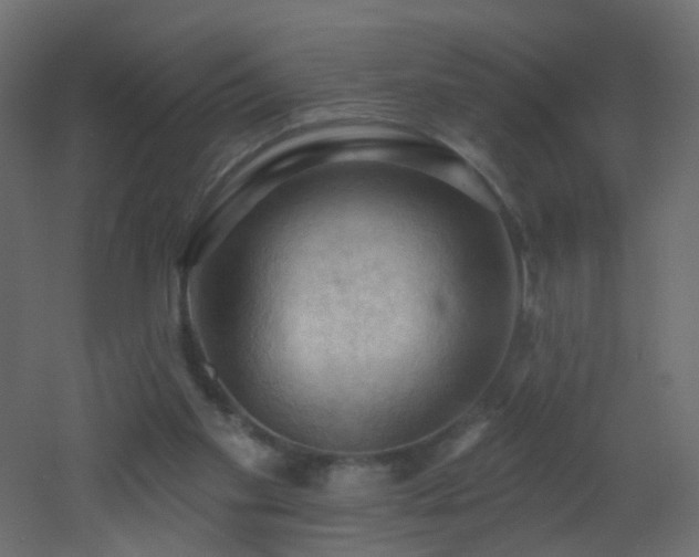 X0000053080109200507111255
