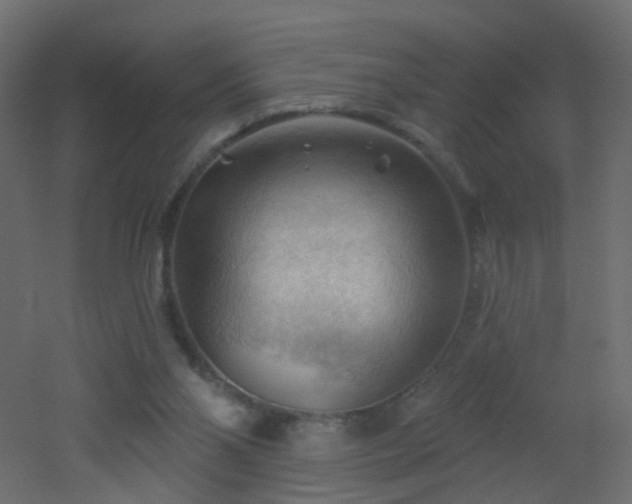 X0000053080110200507111255