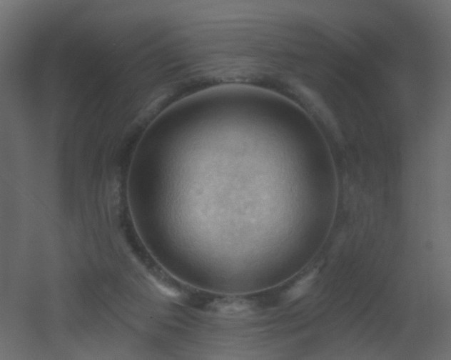 X0000053080113200507111254