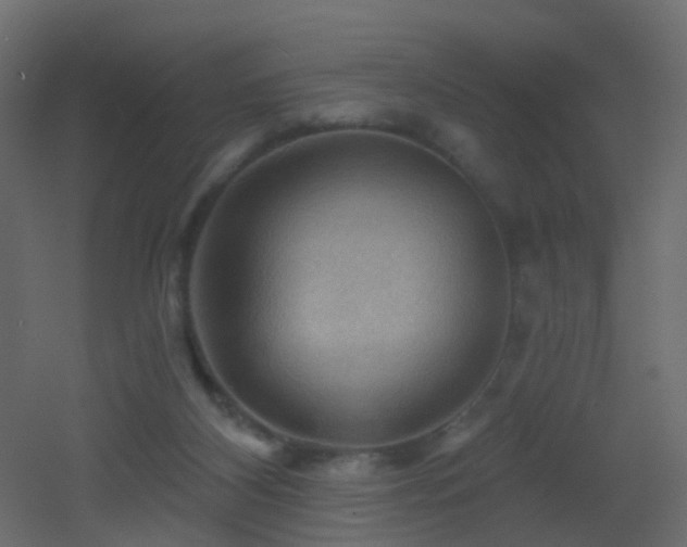 X0000053080116200507111254