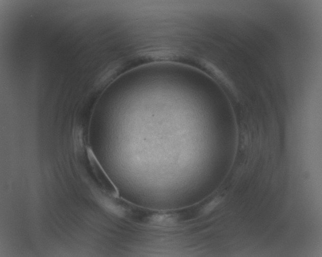 X0000053080117200507111254