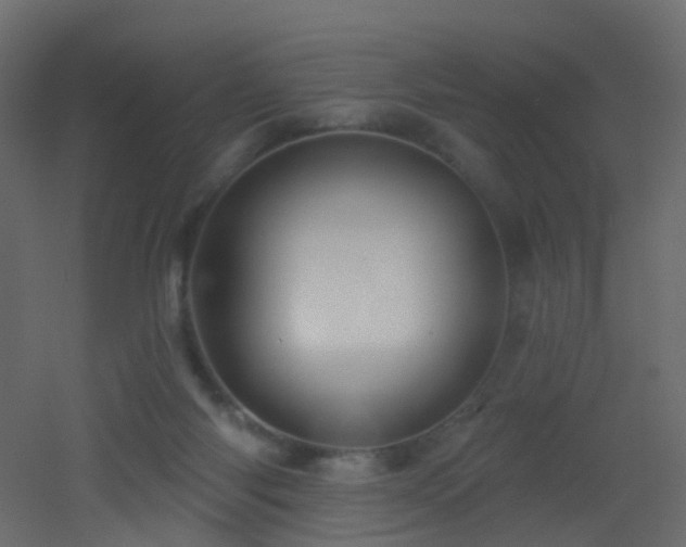 X0000053080118200507111254