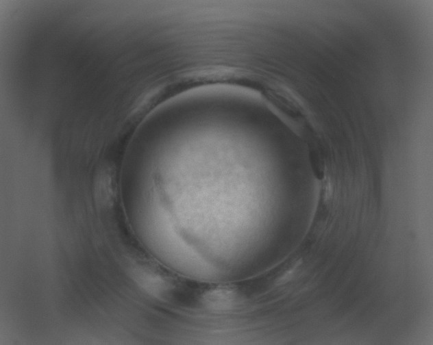 X0000053080119200507111254