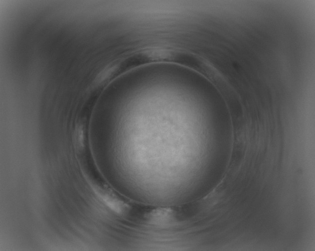 X0000053080124200507111254