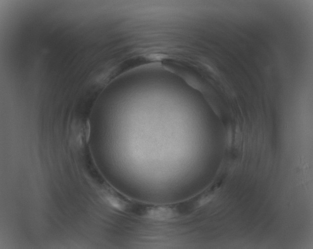 X0000053080125200507111254