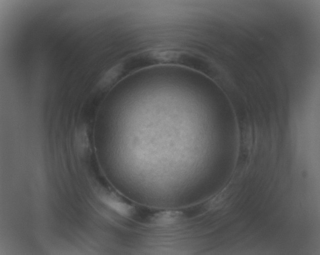 X0000053080128200507111254