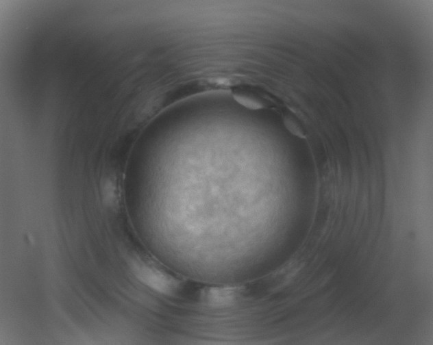 X0000053080134200507111254