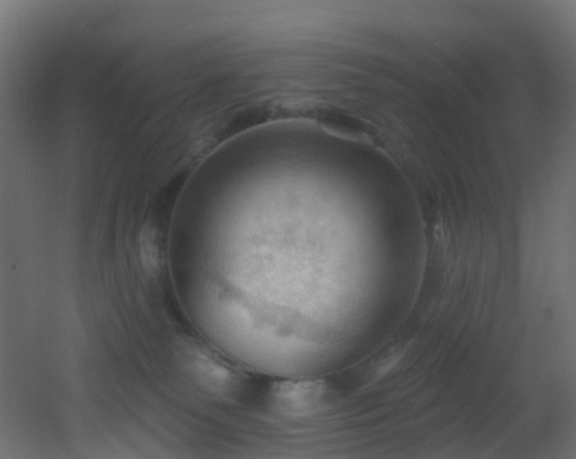 X0000053080135200507111254