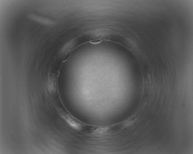 X0000053080138200507111254