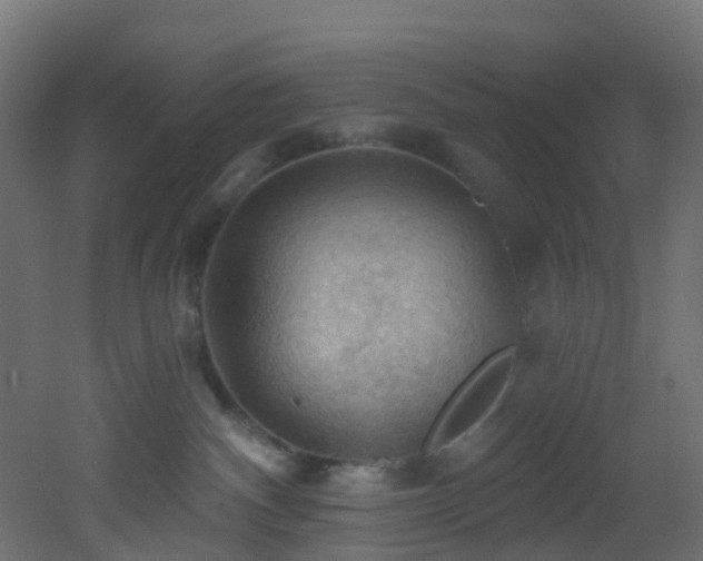 X0000053080140200507111254
