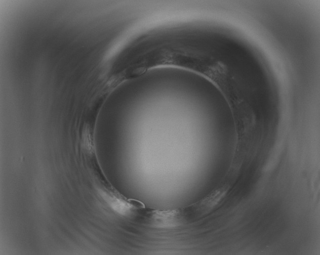 X0000053080143200507111254