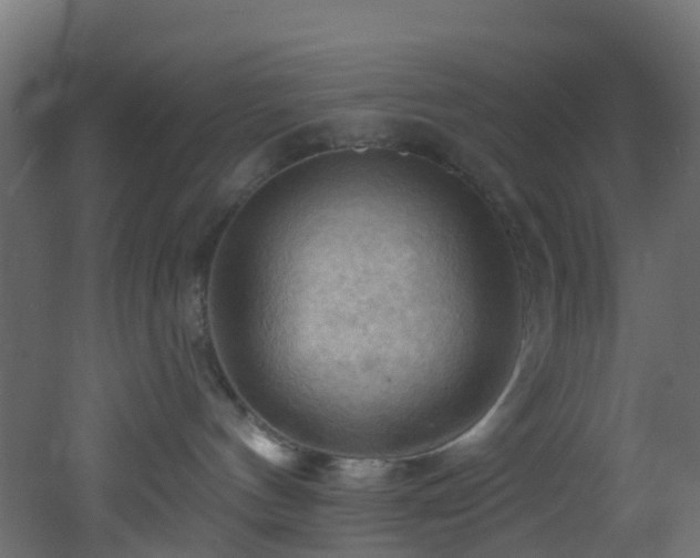 X0000053080144200507111254