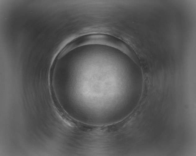 X0000053080148200507111253