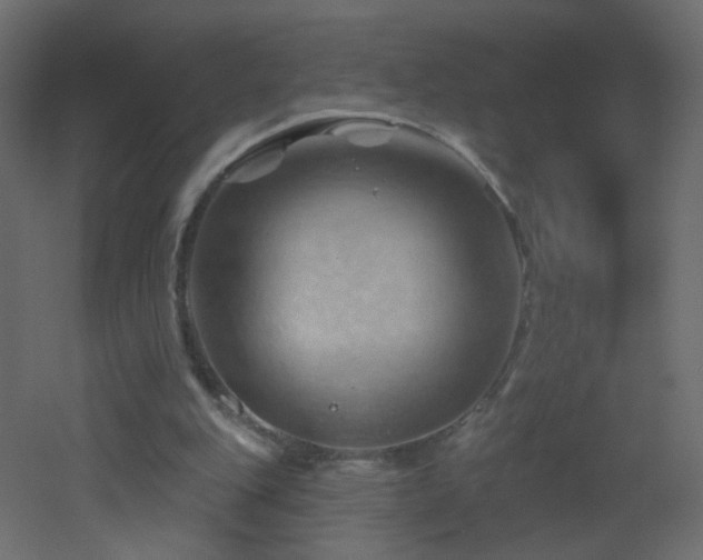 X0000053080151200507111253