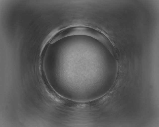 X0000053080152200507111253