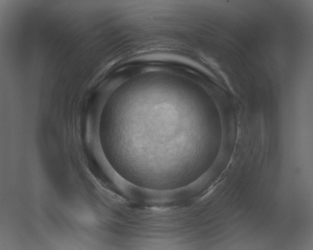 X0000053080154200507111253