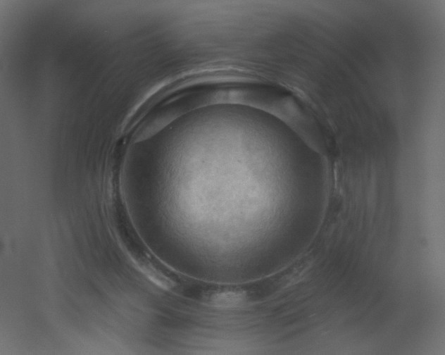 X0000053080156200507111253