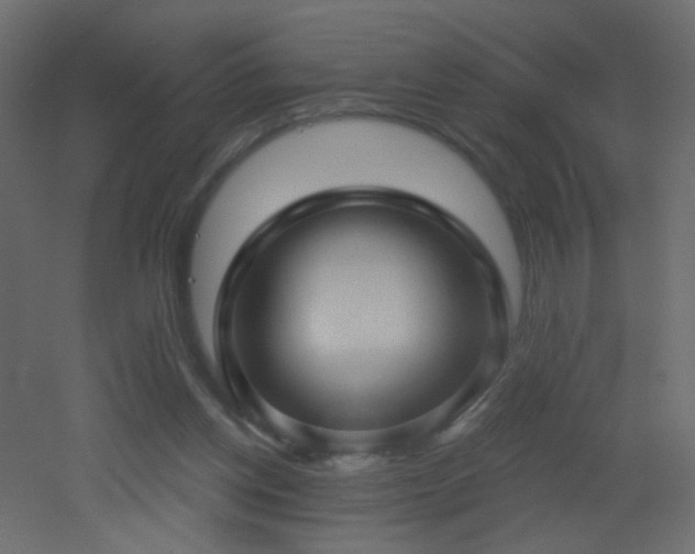X0000053080158200507111253