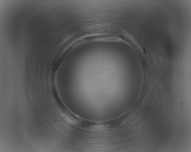 X0000053080161200507111253