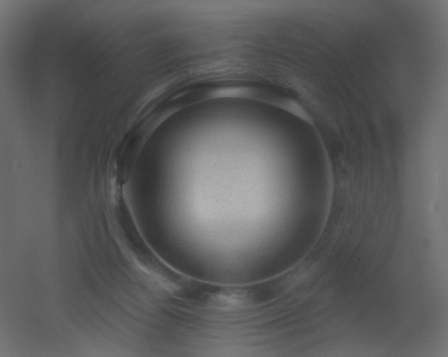X0000053080164200507111253