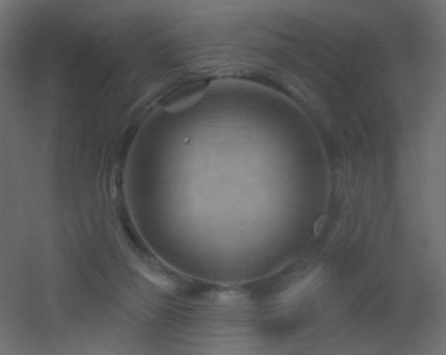 X0000053080165200507111253